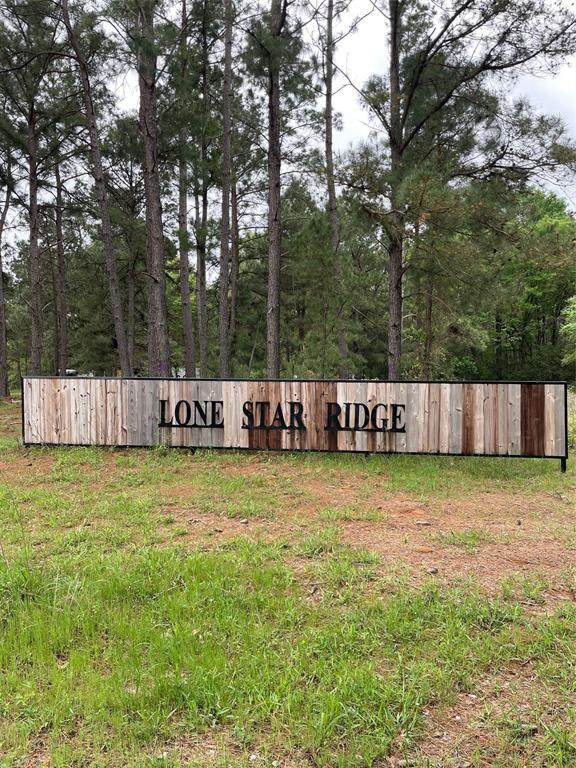 0 Calhoun Ct Tract 170 - Photo 1