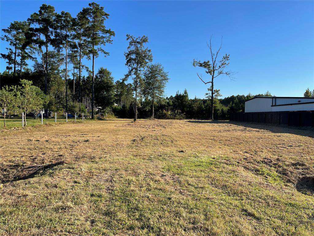 46 County Road 3558 - Photo 1
