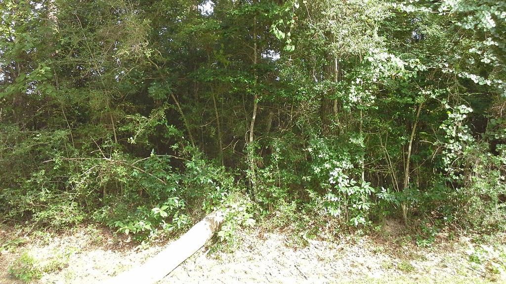 TBD Idylwood And Wildwood Drive - Photo 1
