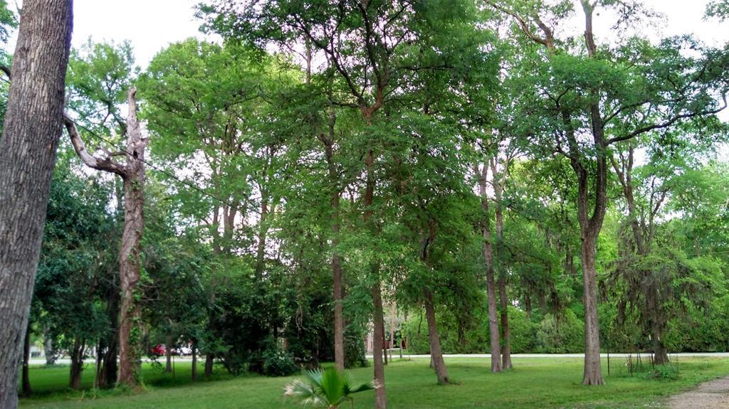 563 Forest Lawn - Photo 1