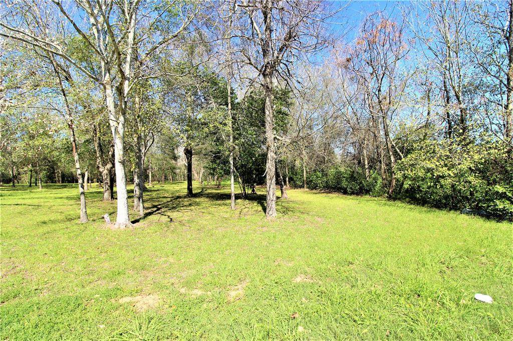 1105 Pecan Street - Photo 1