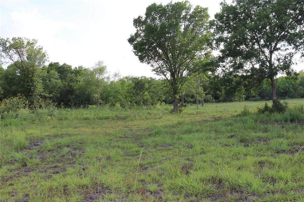 0 Massey Ranch Road - Photo 1