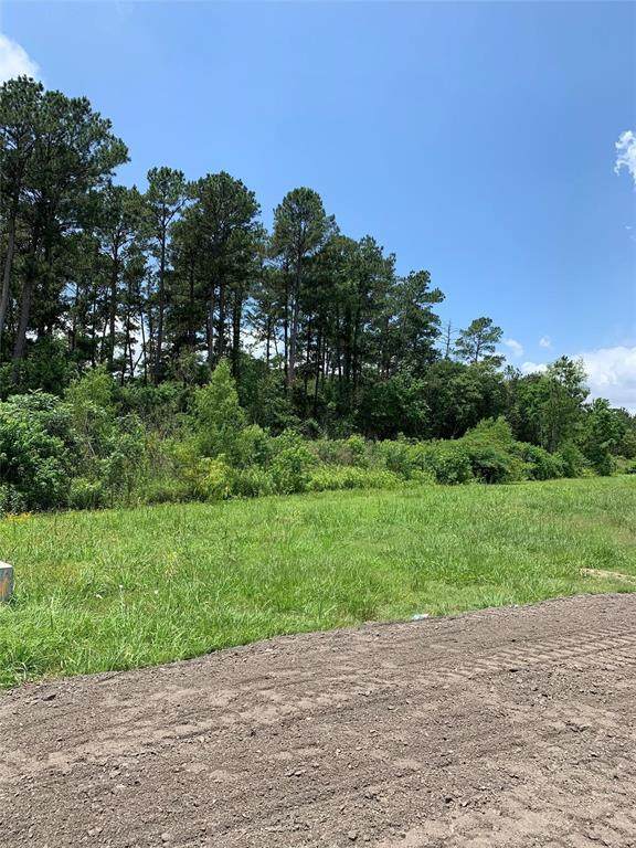 000 Fm 2100 Road - Photo 1