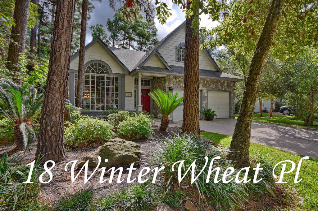 18 Winter Wheat Place - Photo 1
