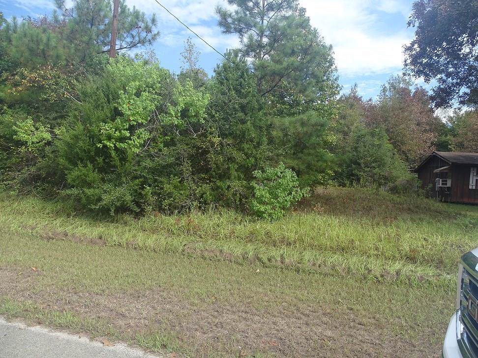 0 Sam Houston Rd - Photo 1