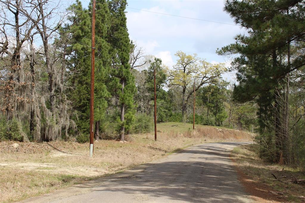 20 Julianne Road - Photo 1