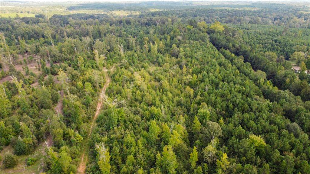 0 Harris Lake Road - Photo 1