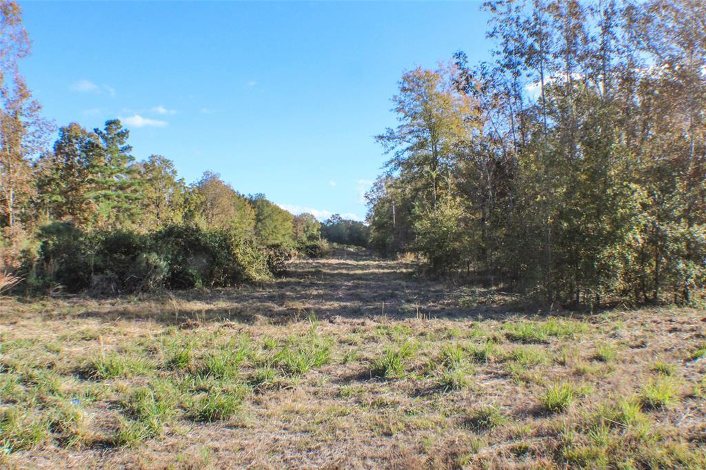 11 Somerset Trails - Photo 1 11 Somerset Trails - Photo 1