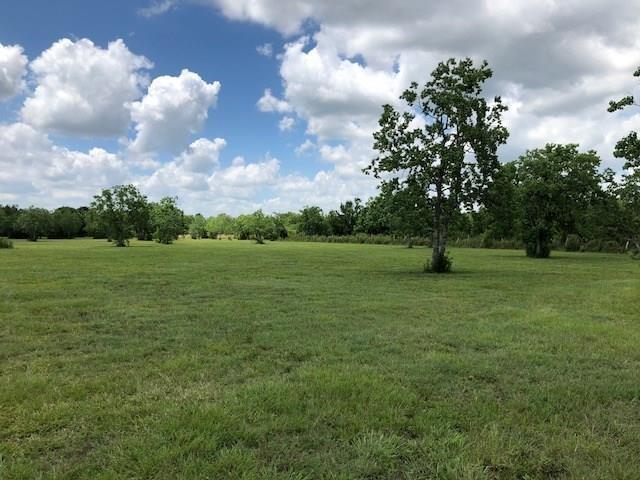 Tract 5 County Road 4893 - Photo 1