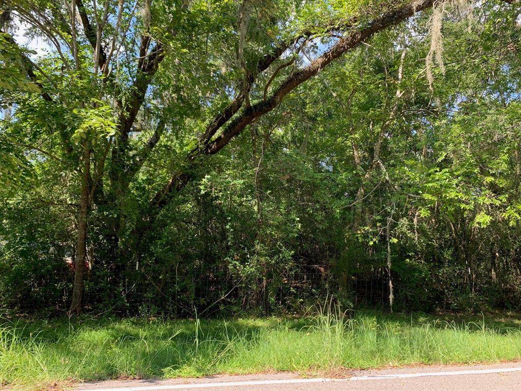 0 Oak Island Drive - Photo 1