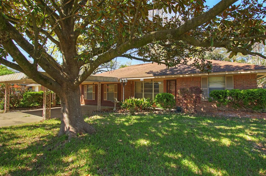 4518 De Milo Drive - Photo 1