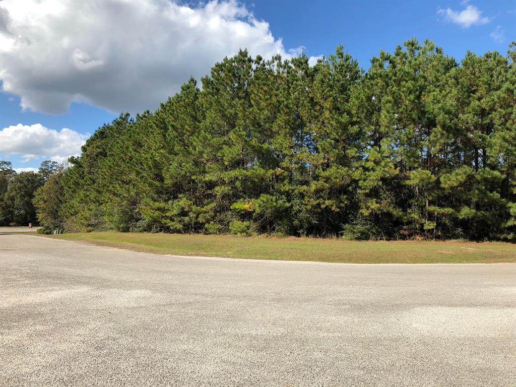 8554 Crown Lake Court - Photo 1