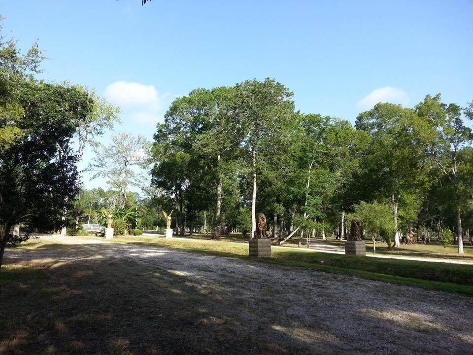 0000 Laguna Vista Drive - Photo 1