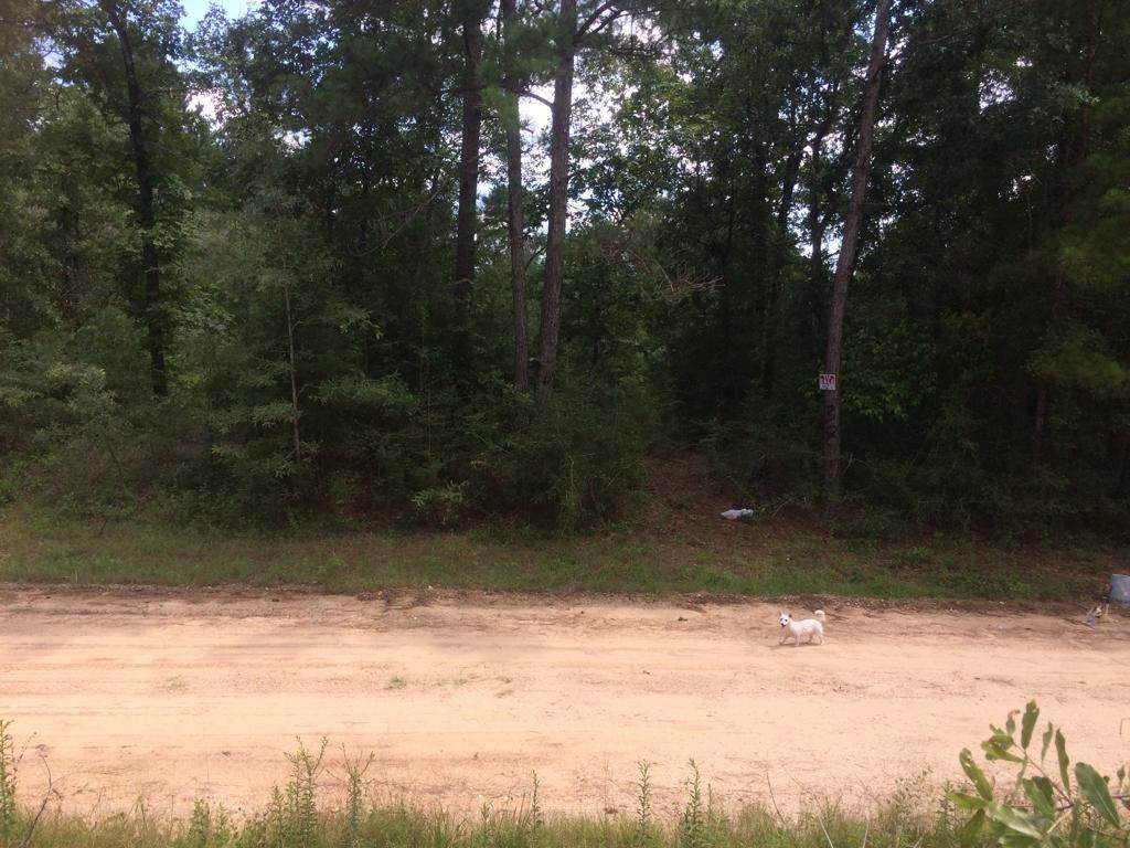 0 Sir Henry Drive - Photo 1