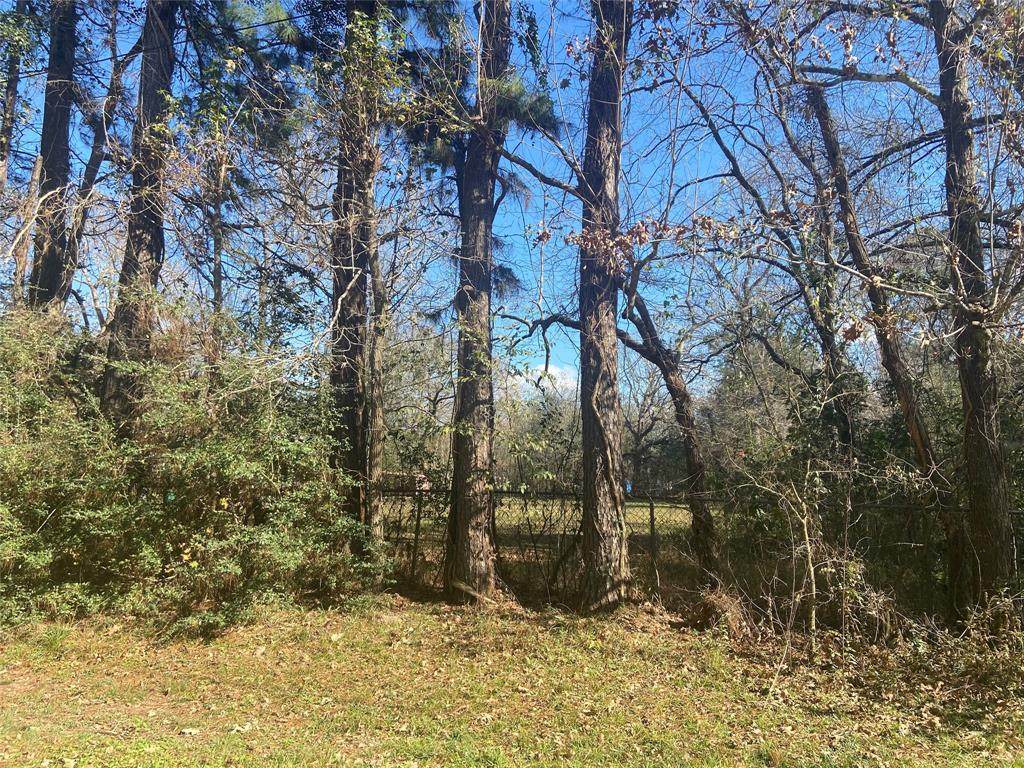 951 Lake Glen Drive - Photo 1