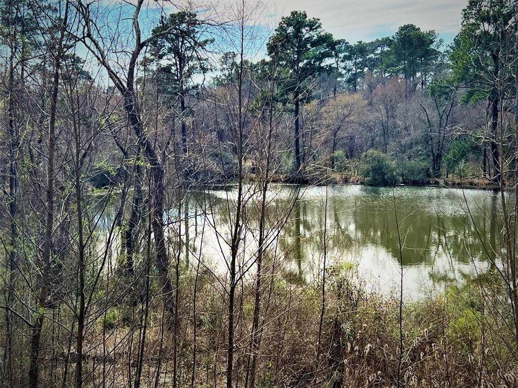 25615 Timberlakes Dr - Photo 1