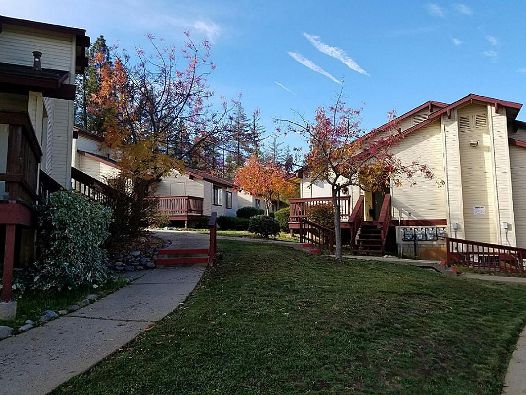 19611 Elder Lane - Photo 1