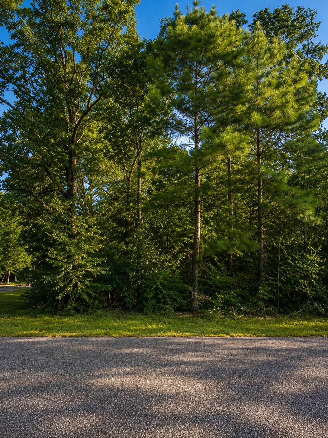https://bt-photos.global.ssl.fastly.net/harmls/orig_boomver_1_47363499-2.jpg