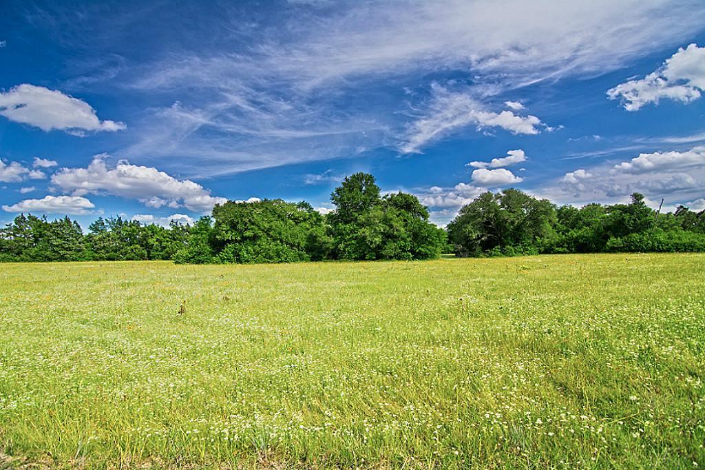 7 Hoppers Lane - Photo 1