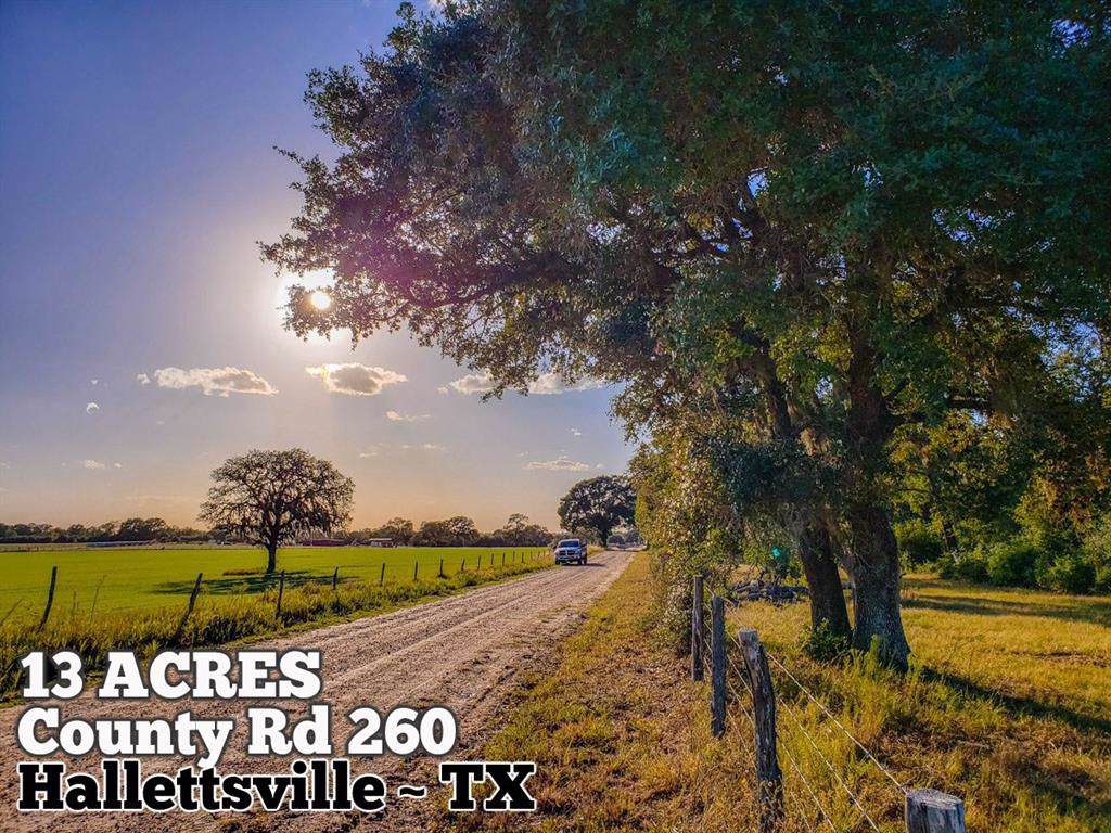 13-ac County Rd 260 - Photo 1