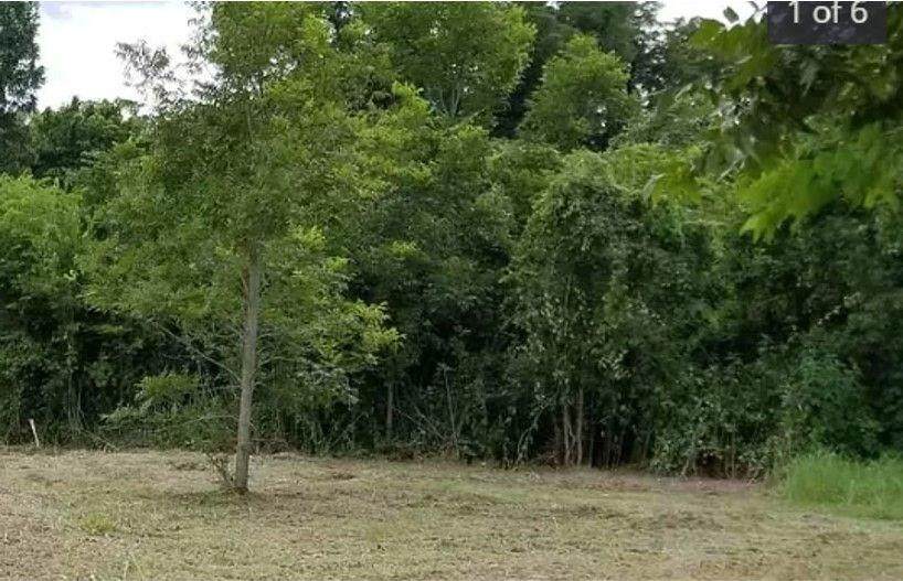 Lot 171 & 172 Ridgecrest Circle - Photo 1