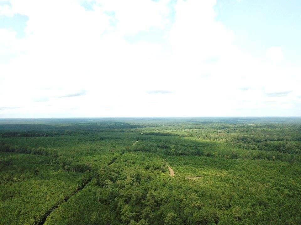 571.85 Acres Cr 4040 - Photo 1