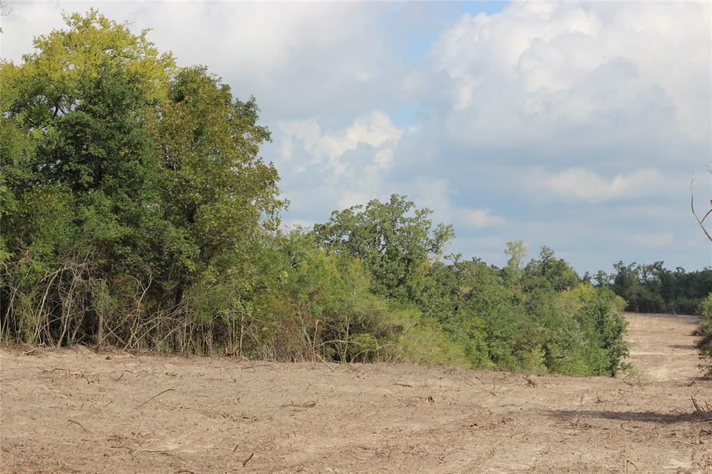 3190 State Hwy 75 North - Photo 1