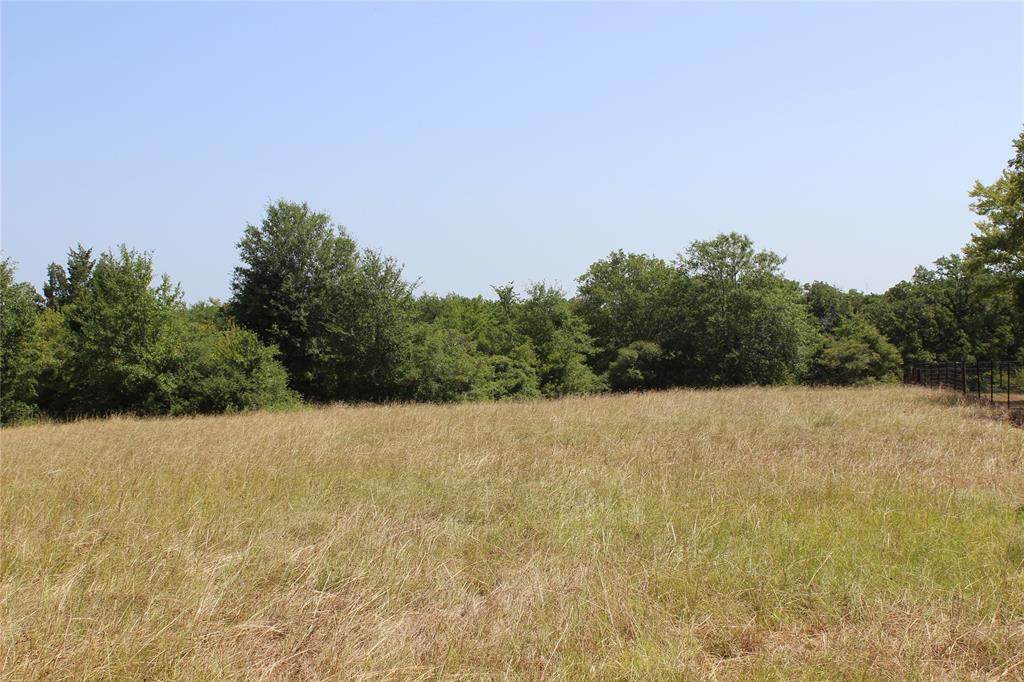 TBD County Road 483 - Photo 1