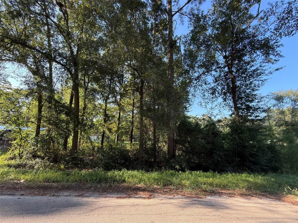 0 Spanish Oaks Dr - Photo 1
