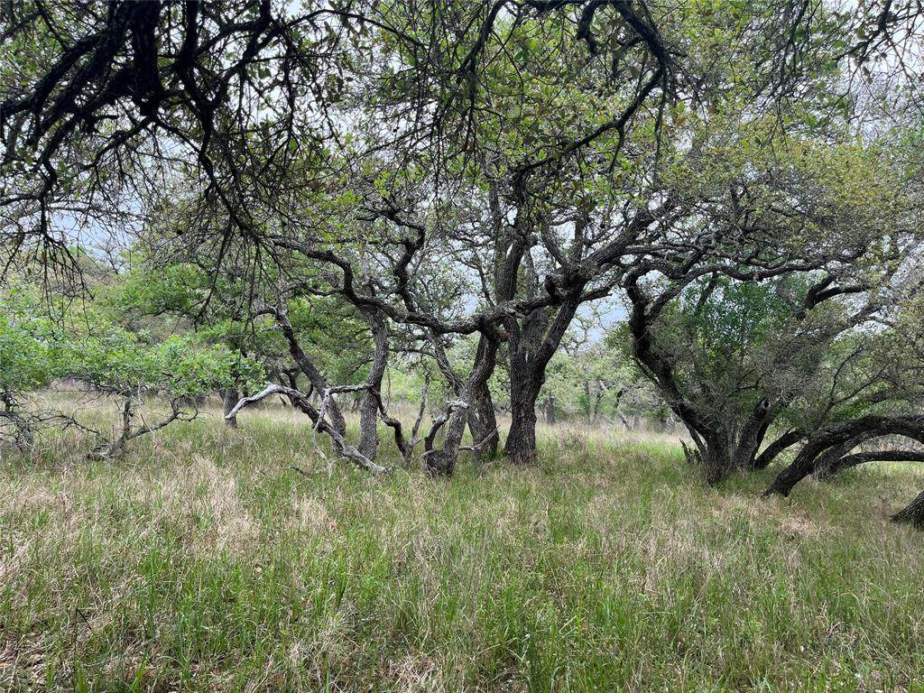 000 Private Road 1501 - Photo 1