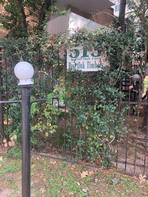 513 Post Oak Lane - Photo 1