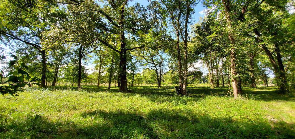 TBD Taylor Lake Circle - Photo 1