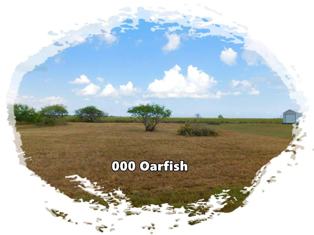 000 Oarfish - Photo 1