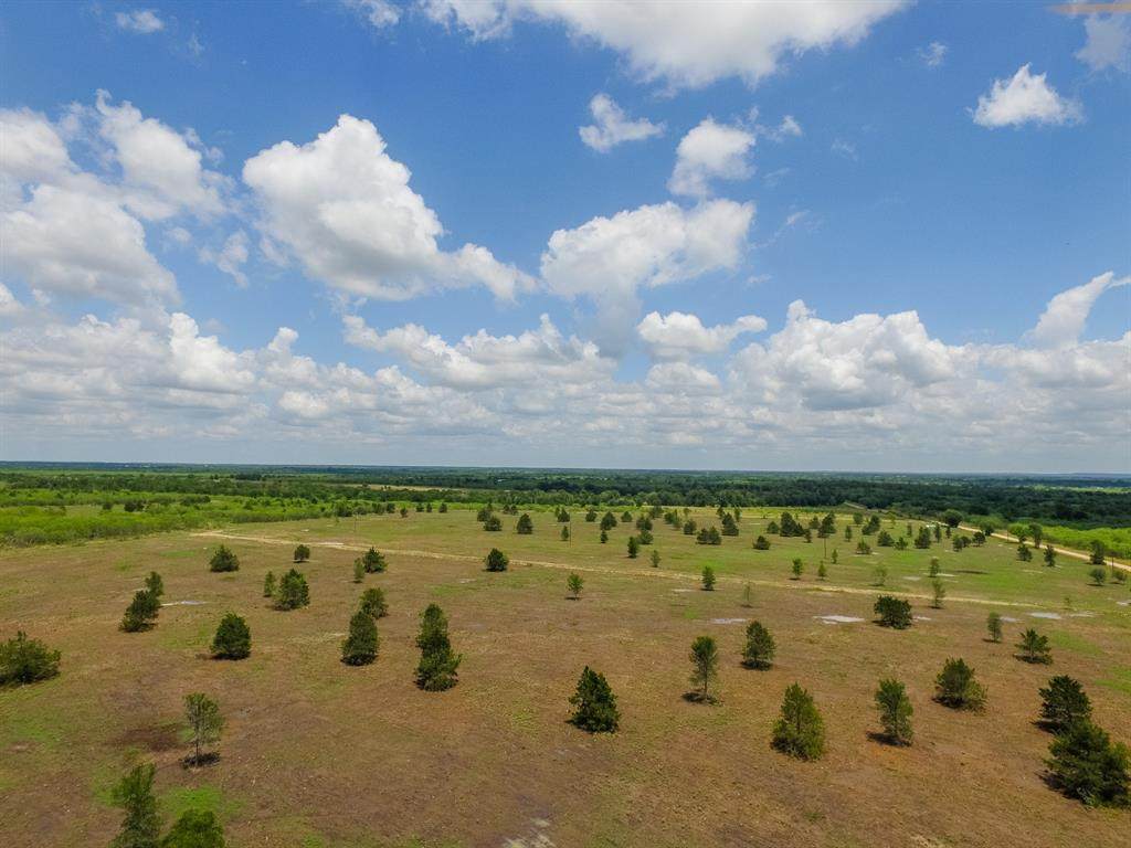 006 County Road 451 - Photo 1