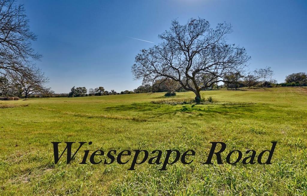 00 Wiesepape Road - Photo 1