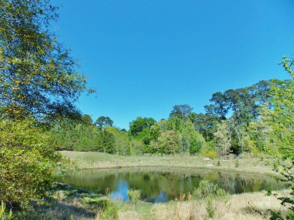 10223 Paradise Valley - Photo 1