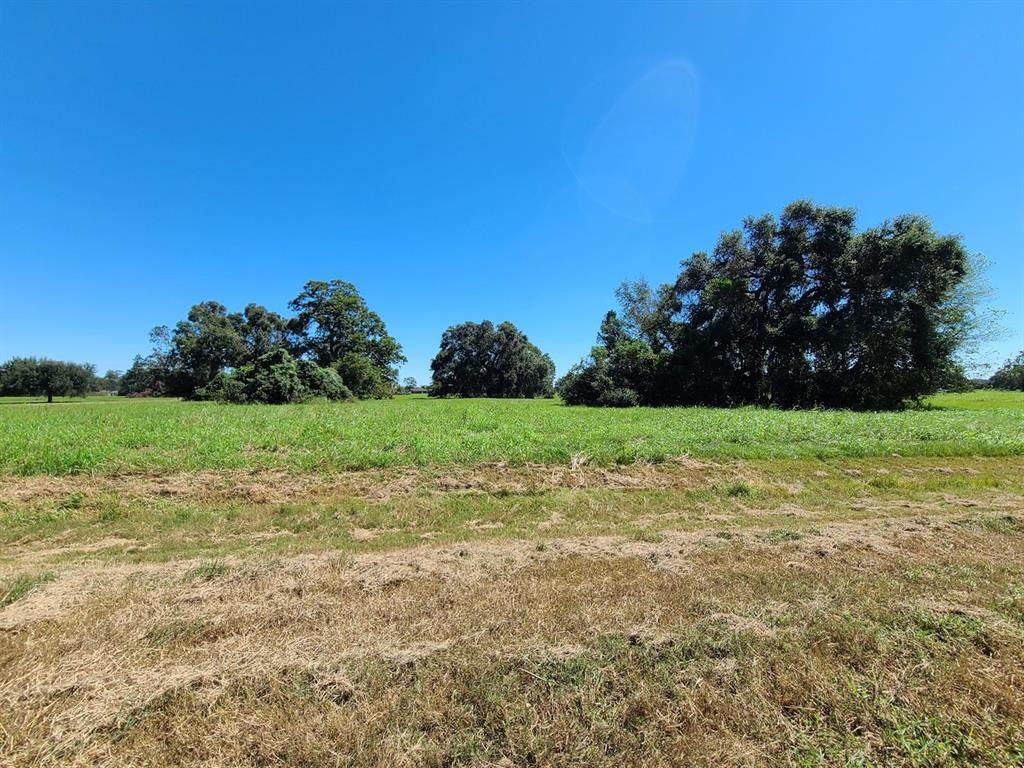 119 Pony Trail - Photo 1