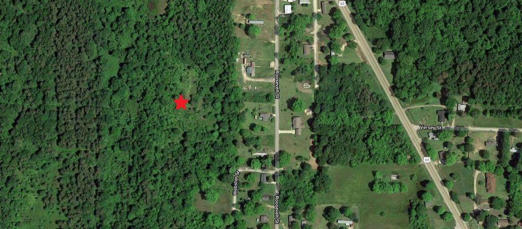 0 Roosevelt Road - Photo 1