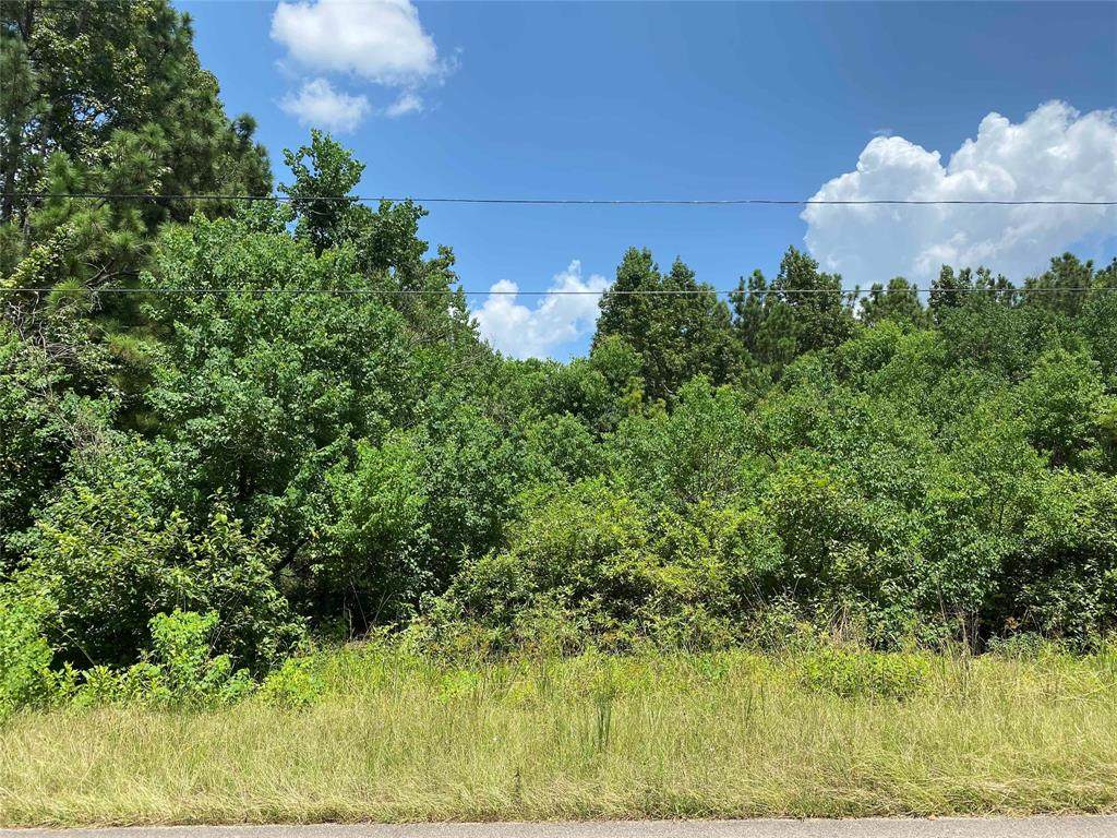 10114 Woodlane Boulevard - Photo 1