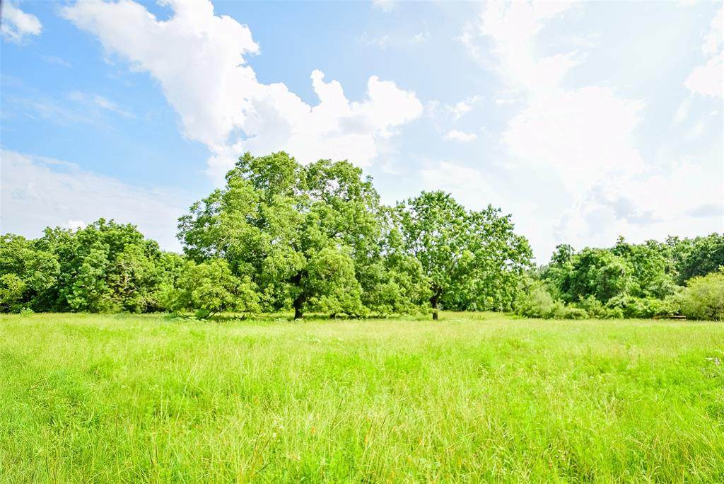 0006 Hasse Road - Photo 1