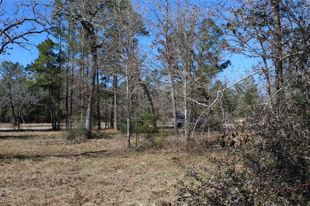 TBD Oak Bend Drive - Photo 1