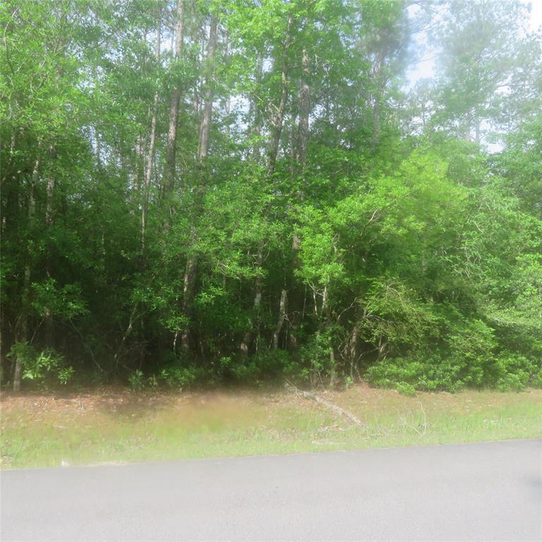 000 Wildwood Drive - Photo 1