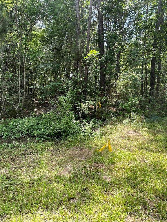 TBD County Road 2317 - Photo 1