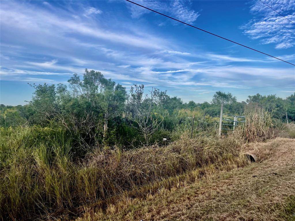 0000 Todd Road Road - Photo 1
