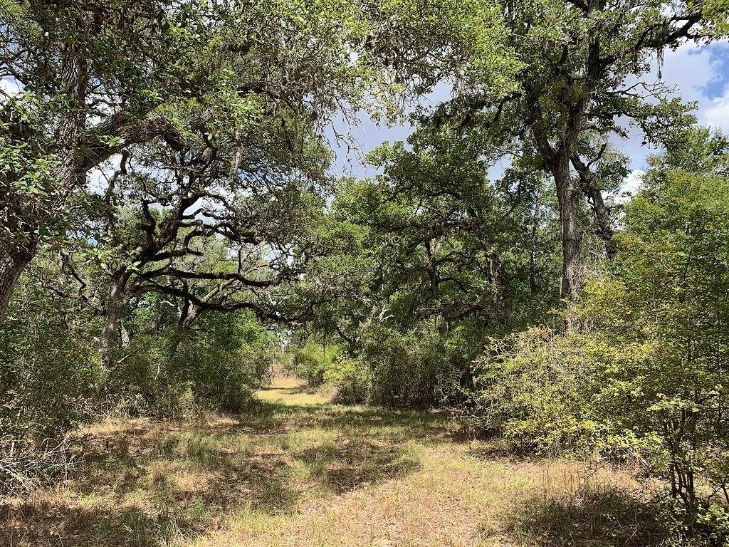 00 Private Road 1581 Road - Photo 1
