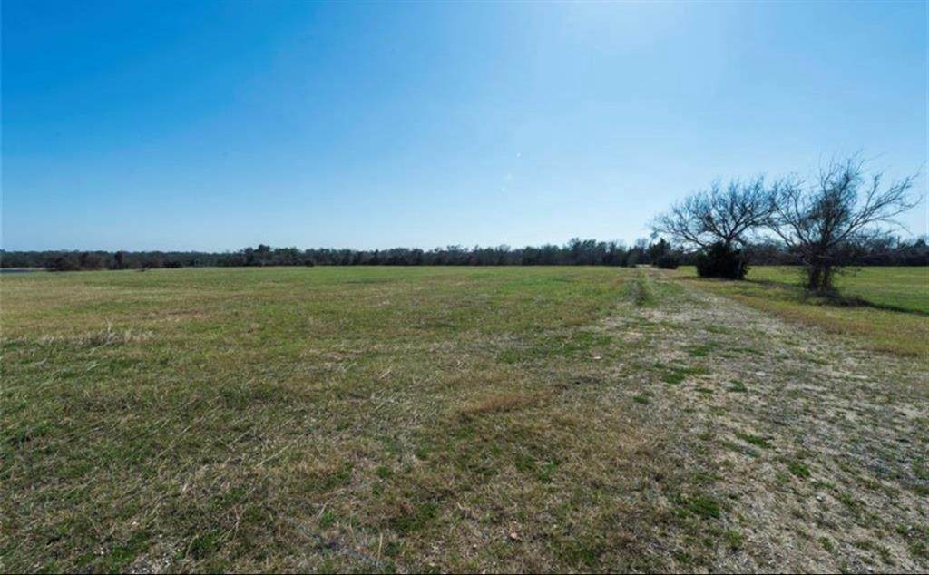 8080 Schuster Road - Photo 1