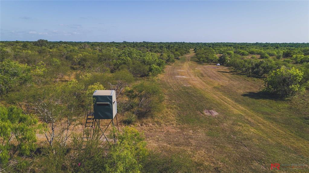 6592 San Antonio River Road - Photo 1