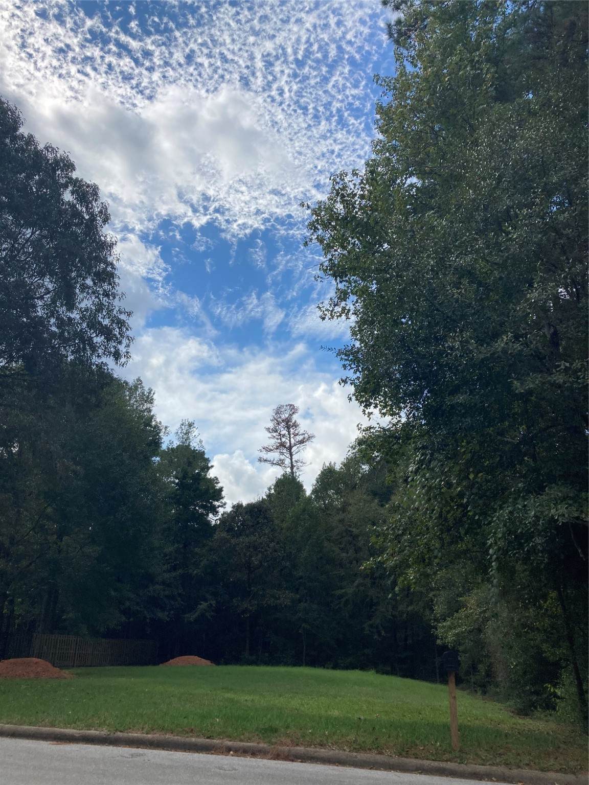 3348 Knob Oaks Drive - Photo 1