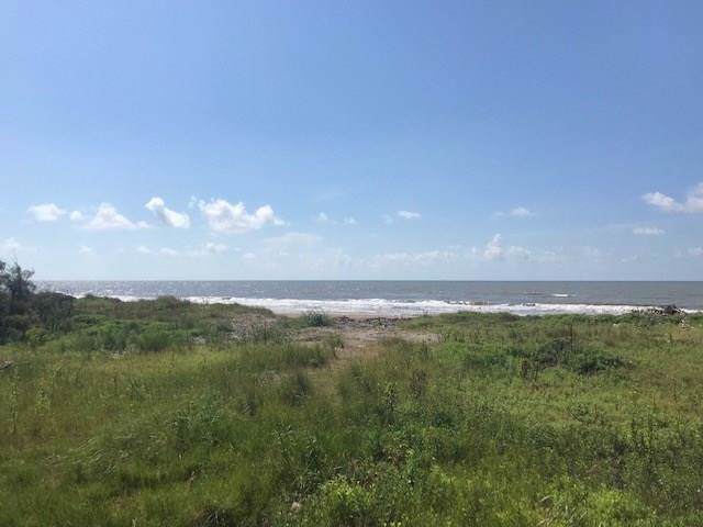 1626 Hwy 87 - Photo 1