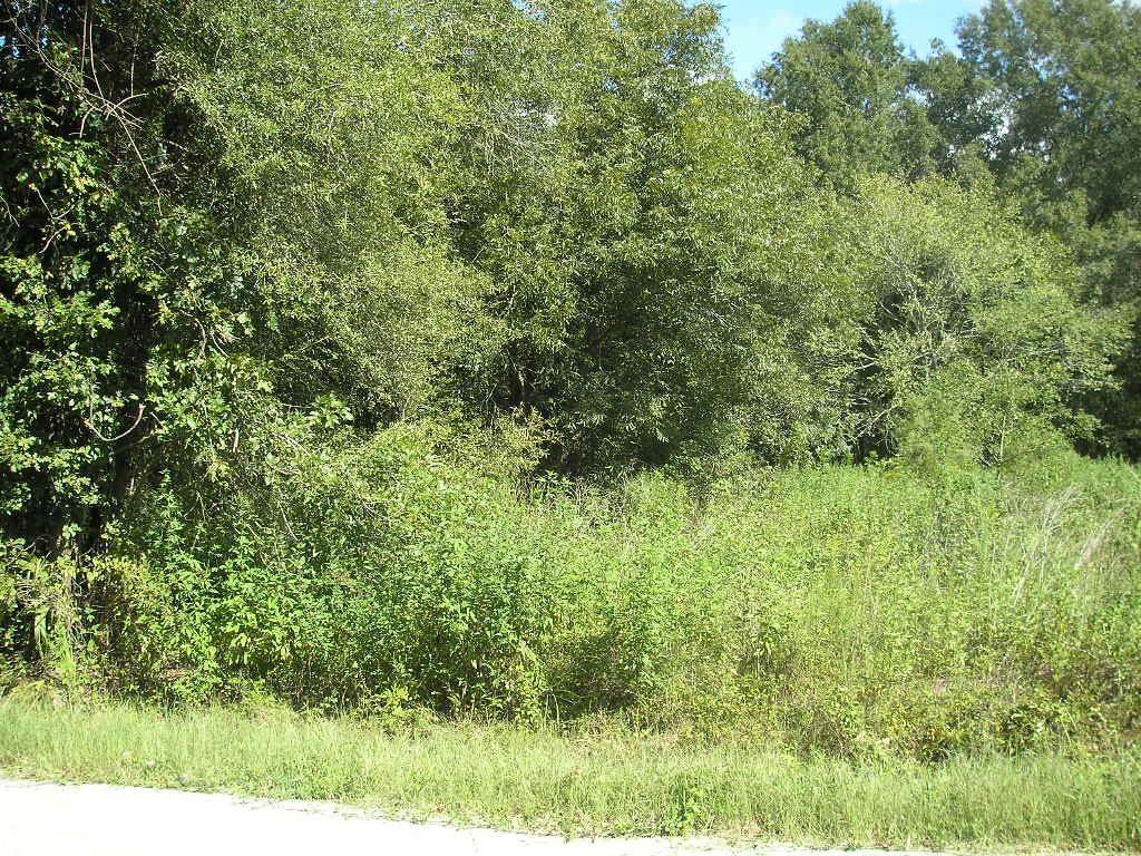 13520 Walker Rd Road - Photo 1